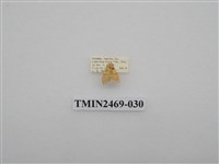 藏品(梯紋豔苔蛾)的圖片